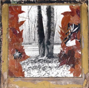 autumnscenesletitfall