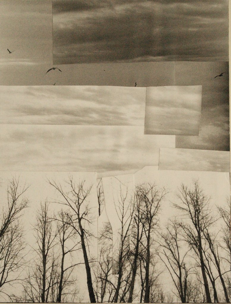 Roots and Wings | JOAT Studio